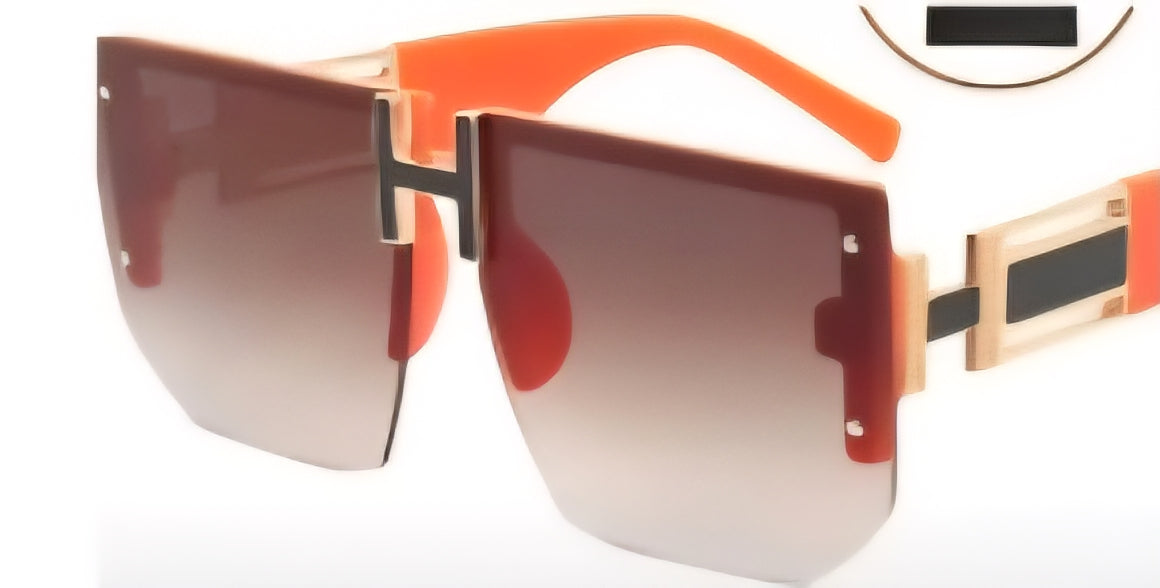 Large Frame Sunglasses