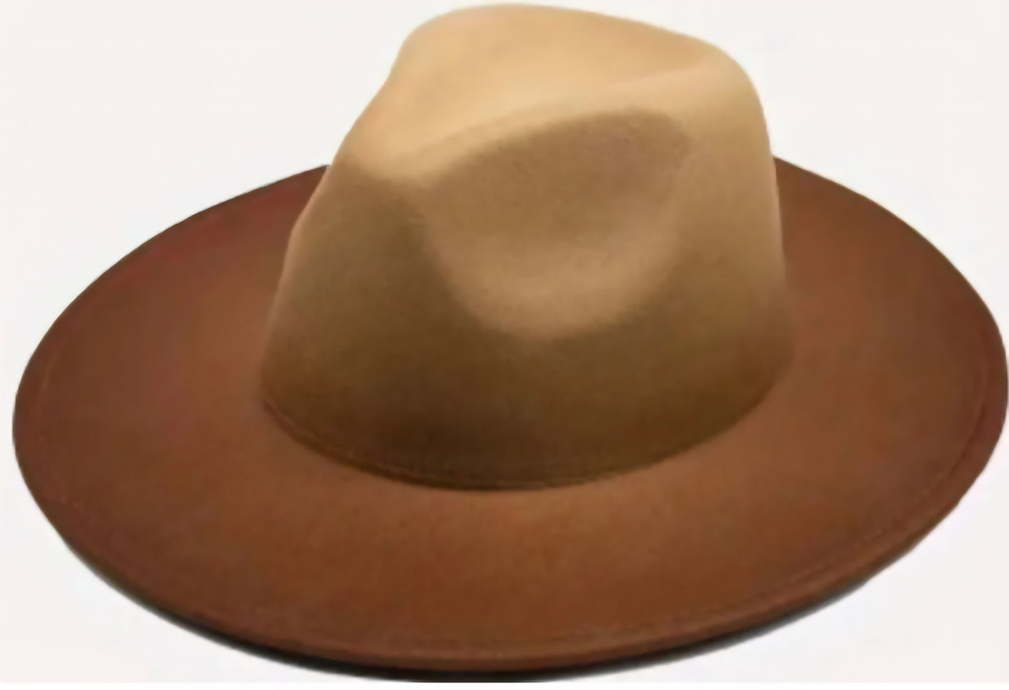 Ombre Fedora