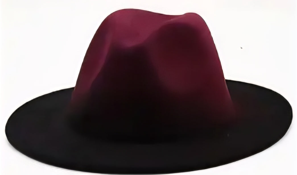 Ombre Fedora