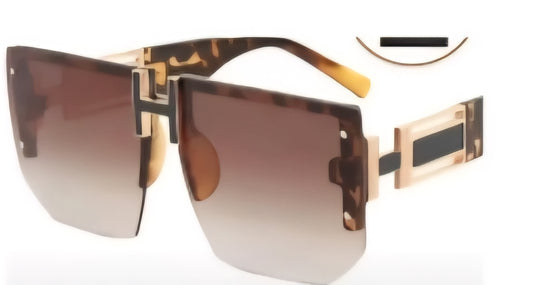 Large Frame Sunglasses